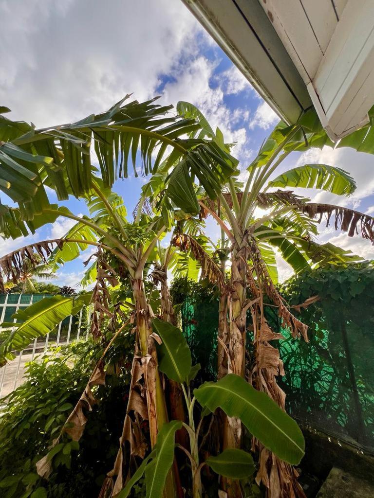 Superbe Villa Bwa Lele Riviere-Salee Exterior photo
